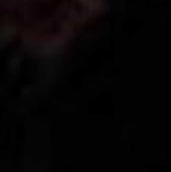 Meet your Posher, Sam - Picture 1 of 1